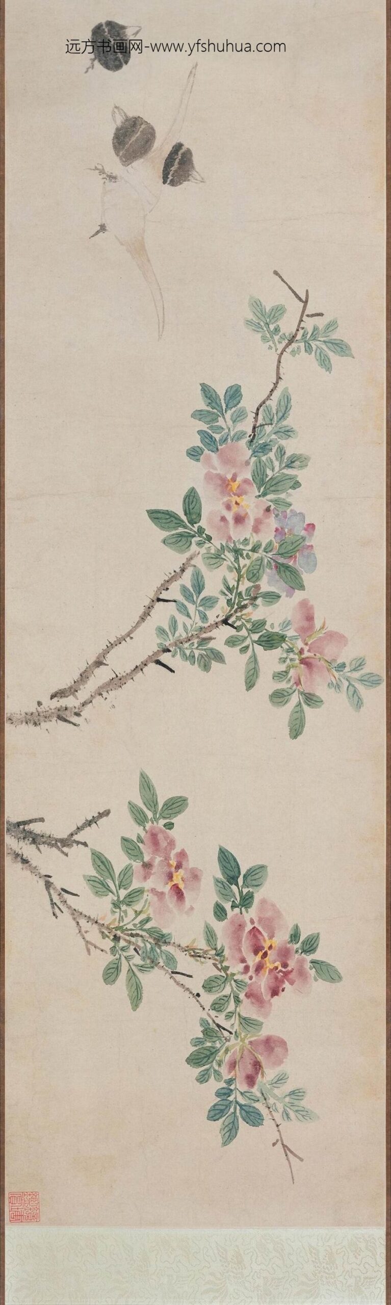 孙克弘_花卉图卷_