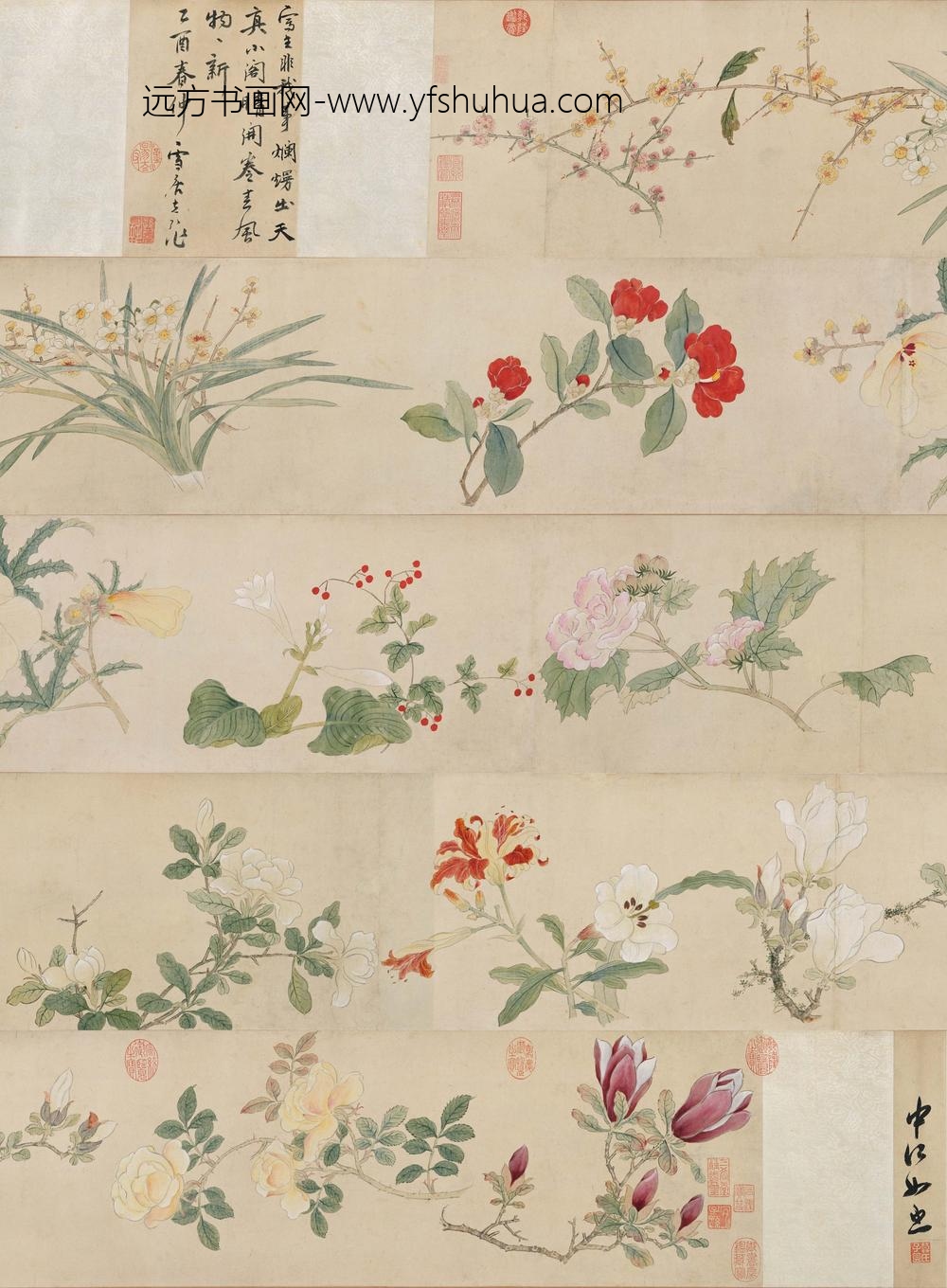 孙克弘_设色花卉卷