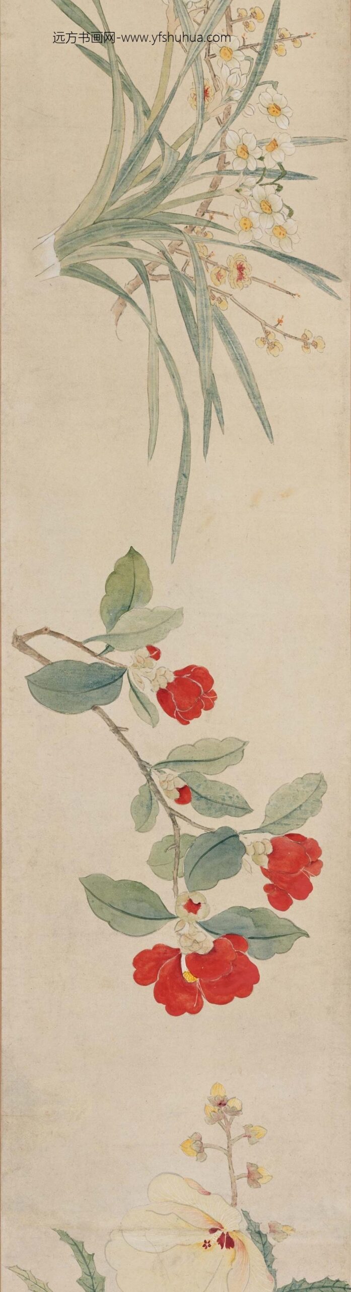 孙克弘_设色花卉卷_