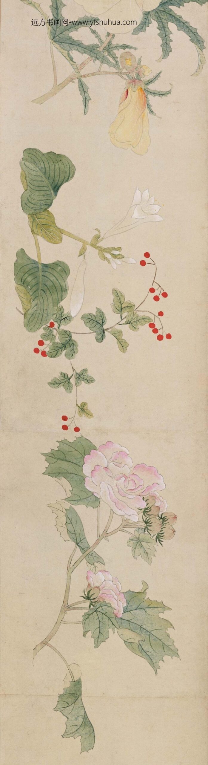 孙克弘_设色花卉卷_