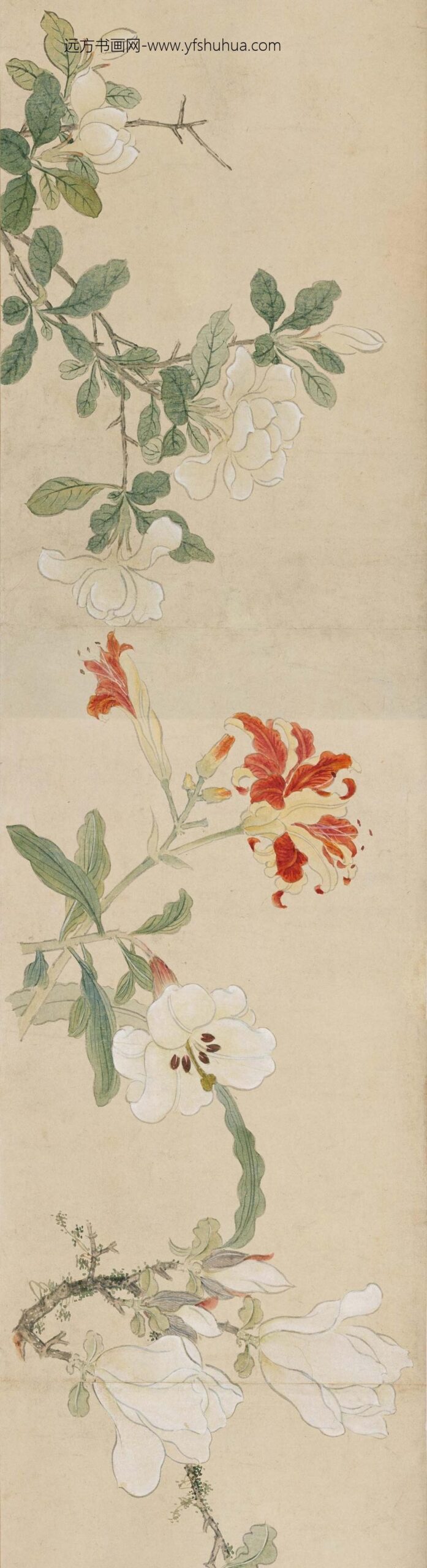 孙克弘_设色花卉卷_