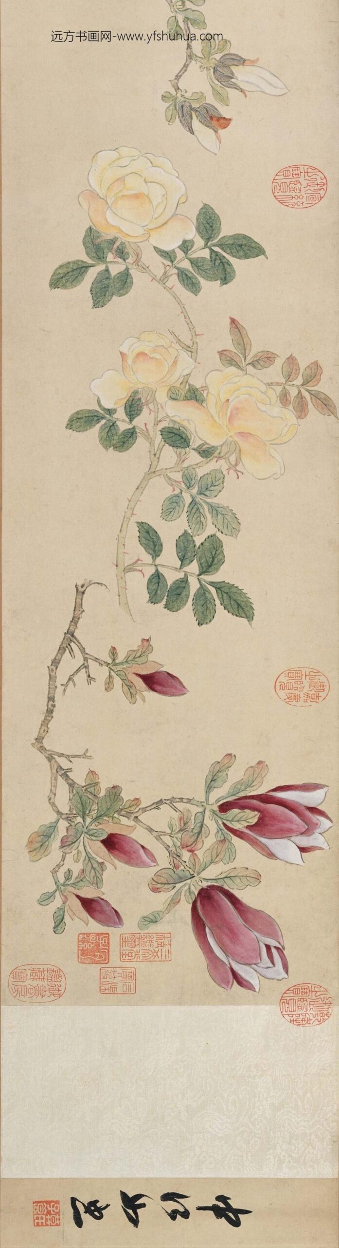 孙克弘_设色花卉卷_