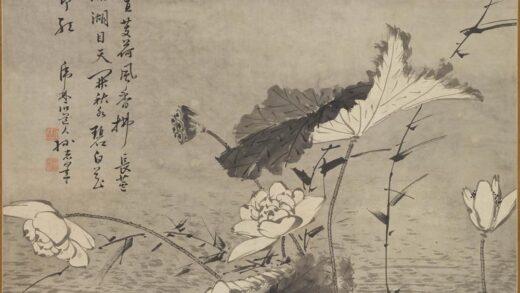 孙志皋 秋水白莲图轴.jpg