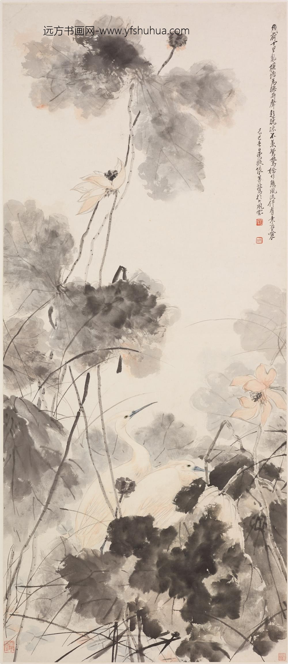 张善子（张善孖）_荷花白鹭图轴