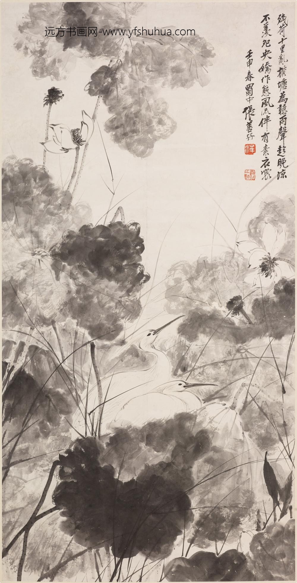 张善子（张善孖）_荷花鹭鸶轴