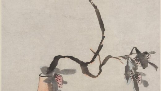 张大千 仿朱耷瓶荔图轴.jpg