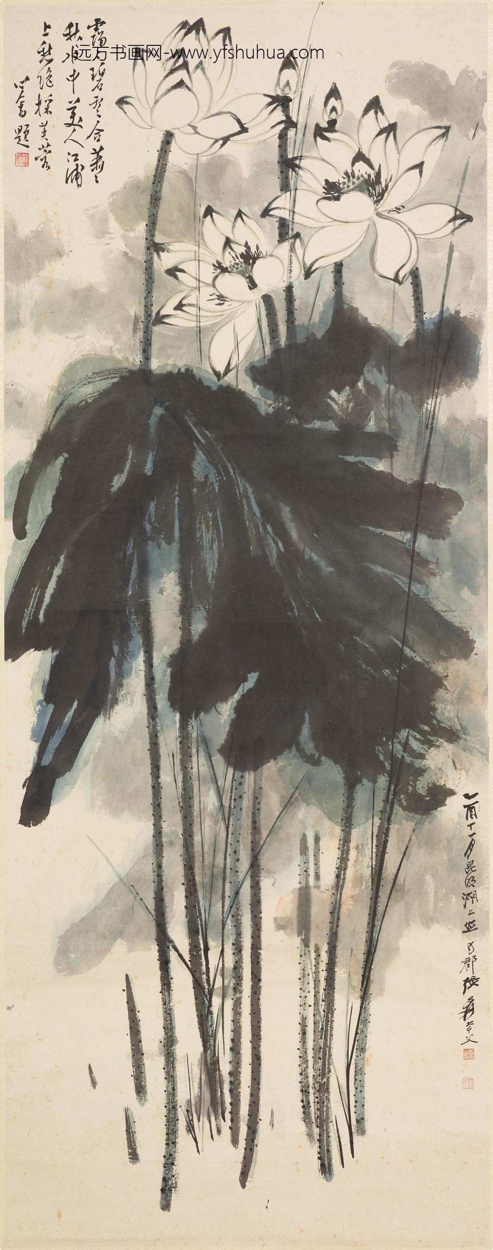 张大千_墨荷图轴-