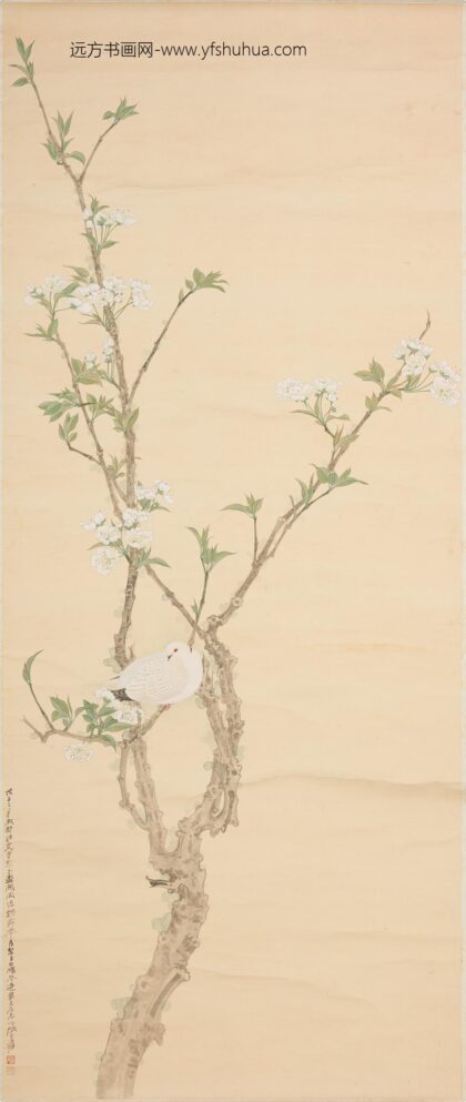 张大千 梨花白鸠图轴.jpg