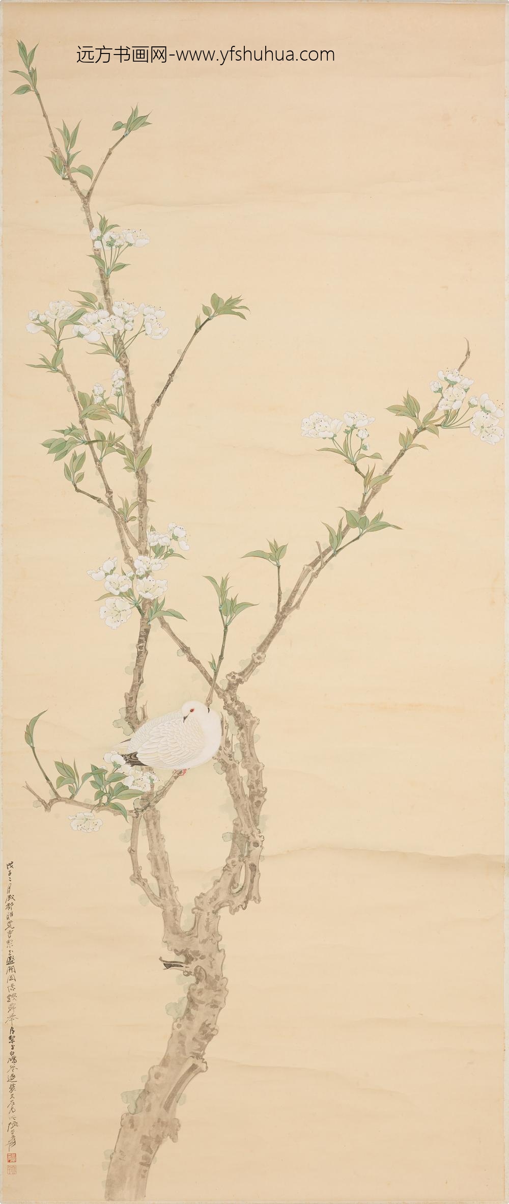 张大千_梨花白鸠图轴