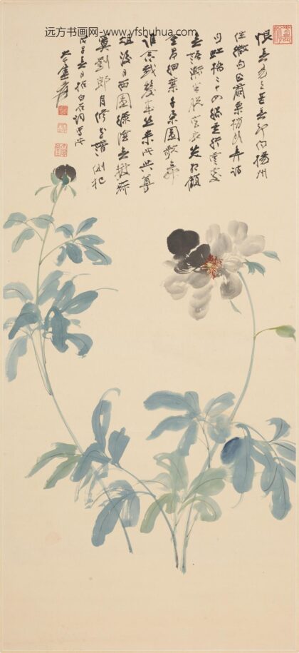 张大千 芍药图轴 1.jpg