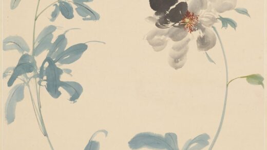 张大千 芍药图轴 1.jpg