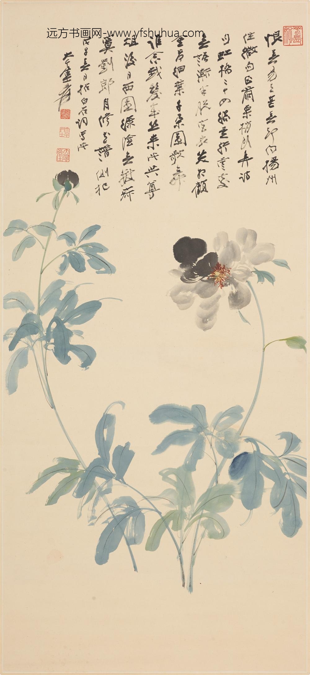 张大千_芍药图轴-