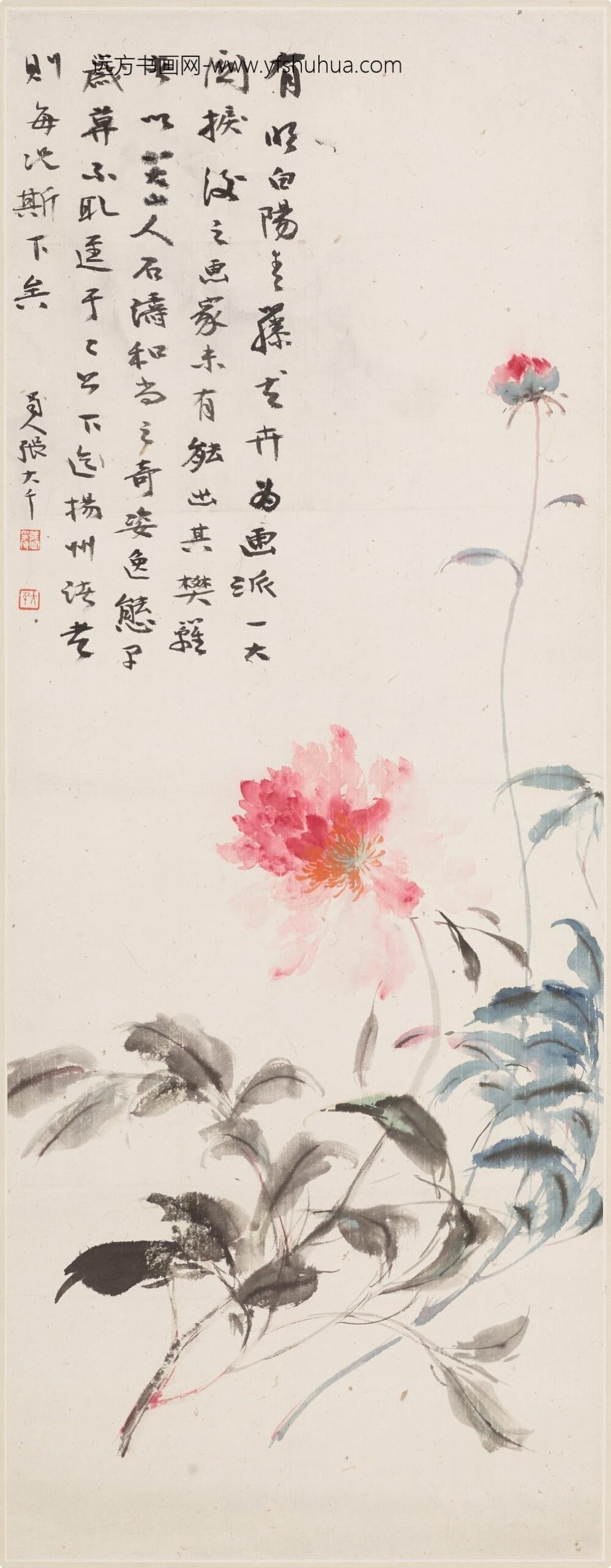 张大千_芍药图轴-