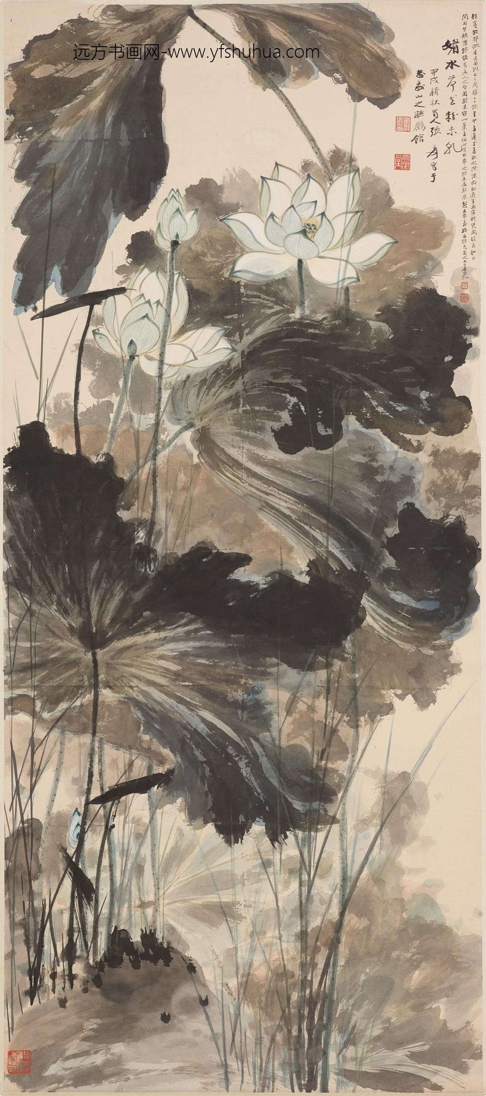 张大千_荷花图轴-