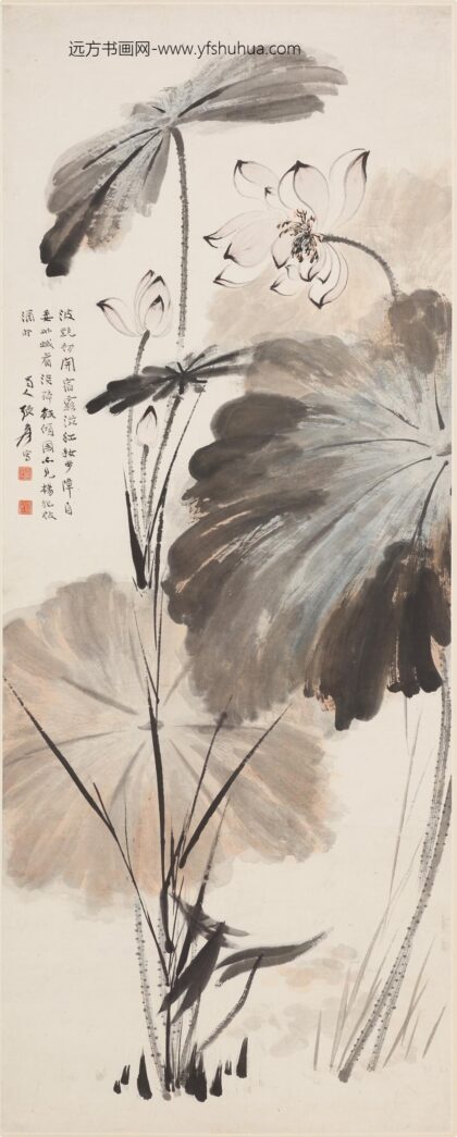 张大千 荷花图轴 2.jpg