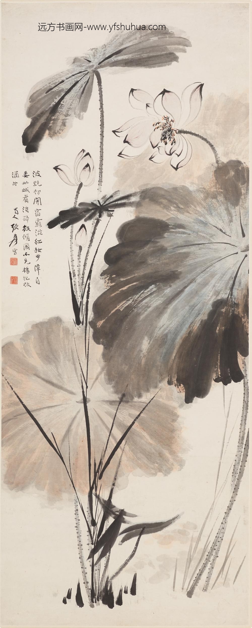 张大千_荷花图轴-