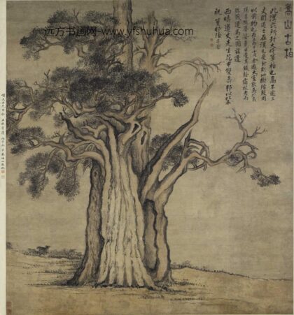 张宗苍 嵩山古柏图轴.jpg