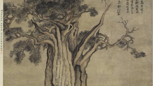 张宗苍 嵩山古柏图轴.jpg