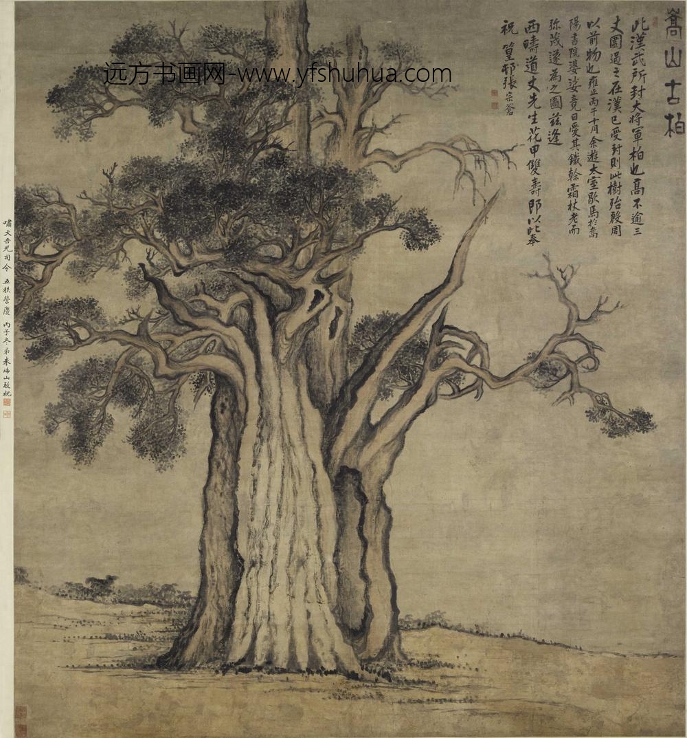 张宗苍_嵩山古柏图轴