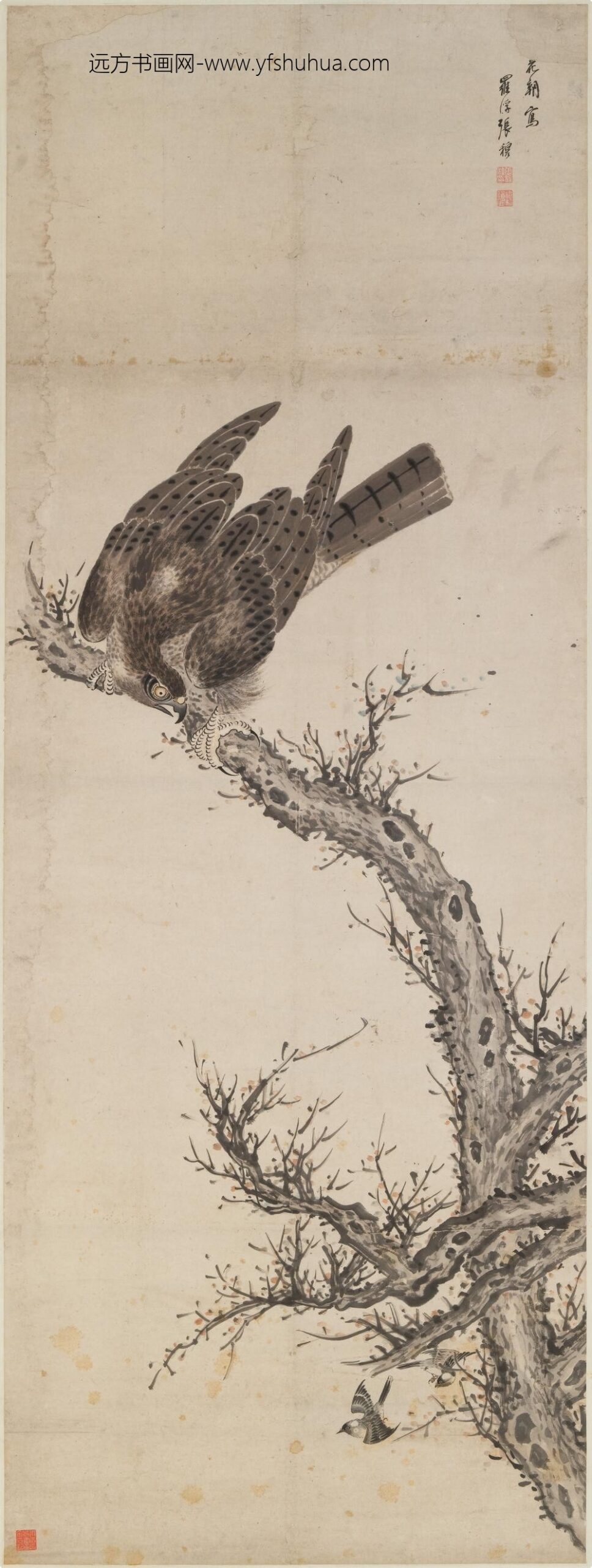 张穆_古木鹰雀图轴