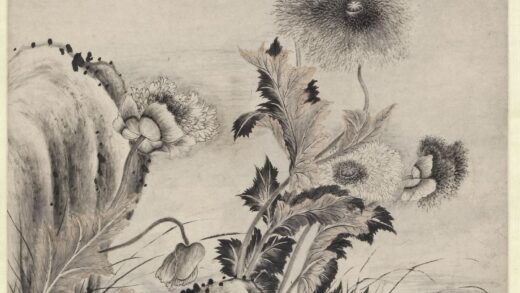 张若霭 罂粟图轴.jpg