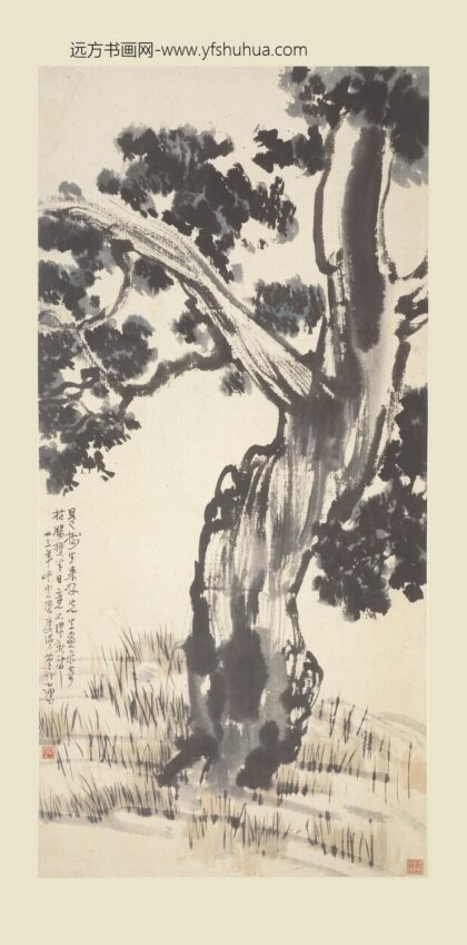 徐悲鸿 古柏图轴.jpg