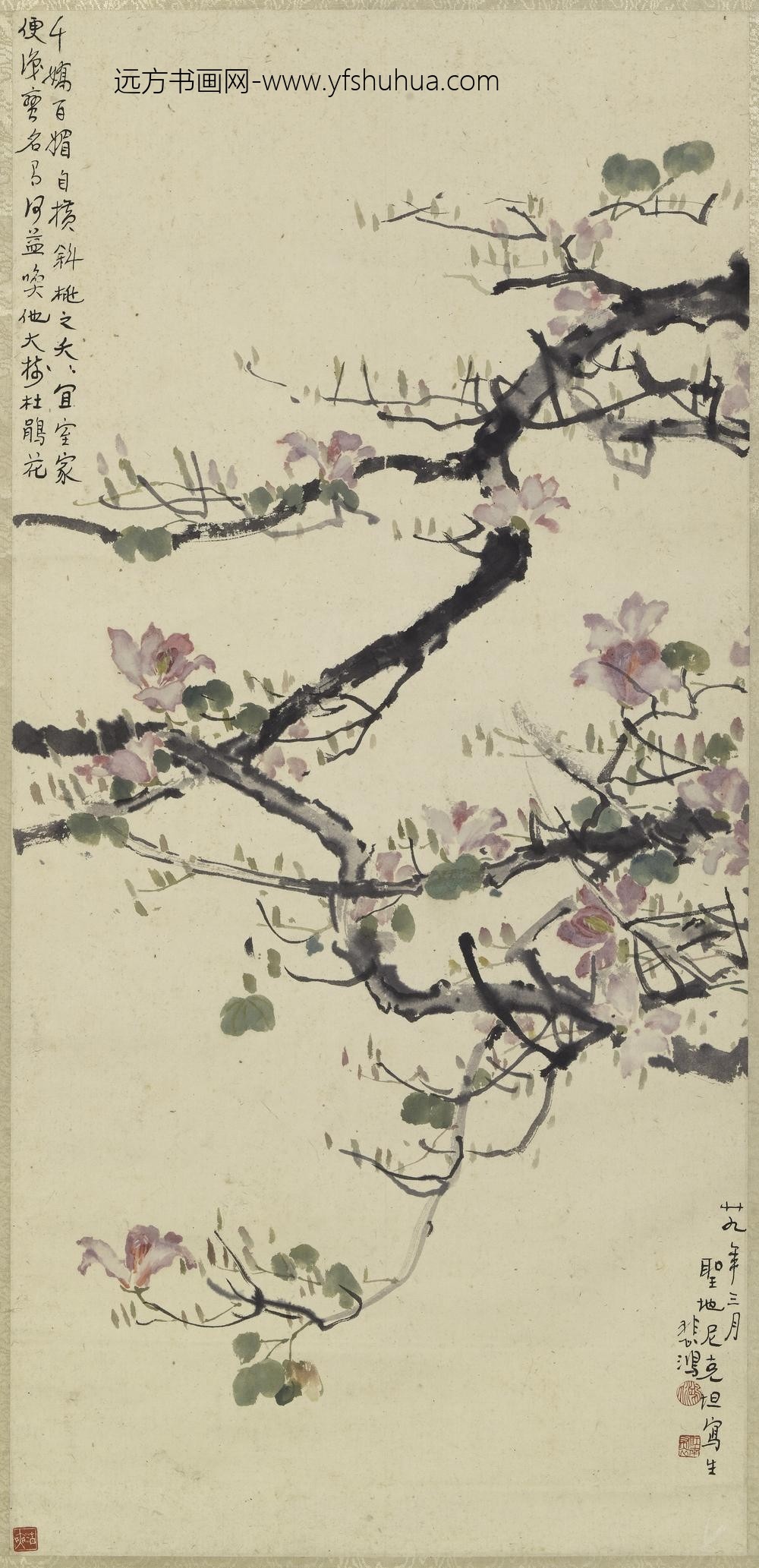 徐悲鸿_杜鹃图轴