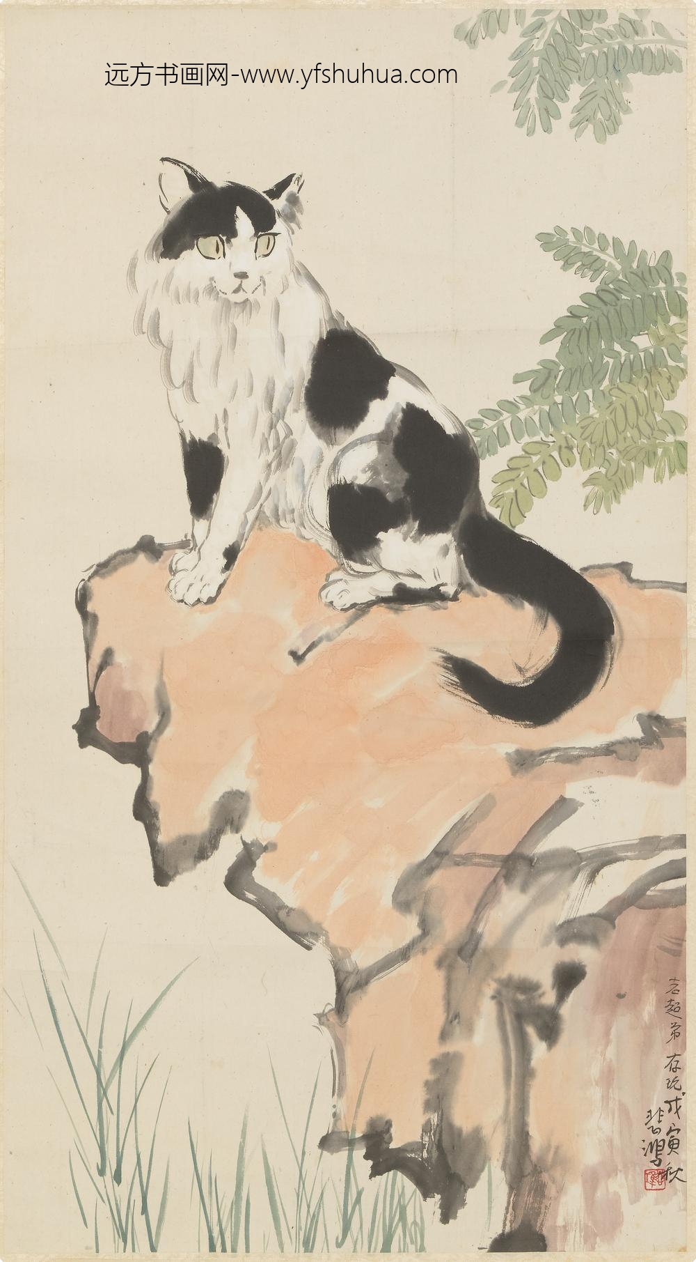 徐悲鸿_猫石图轴