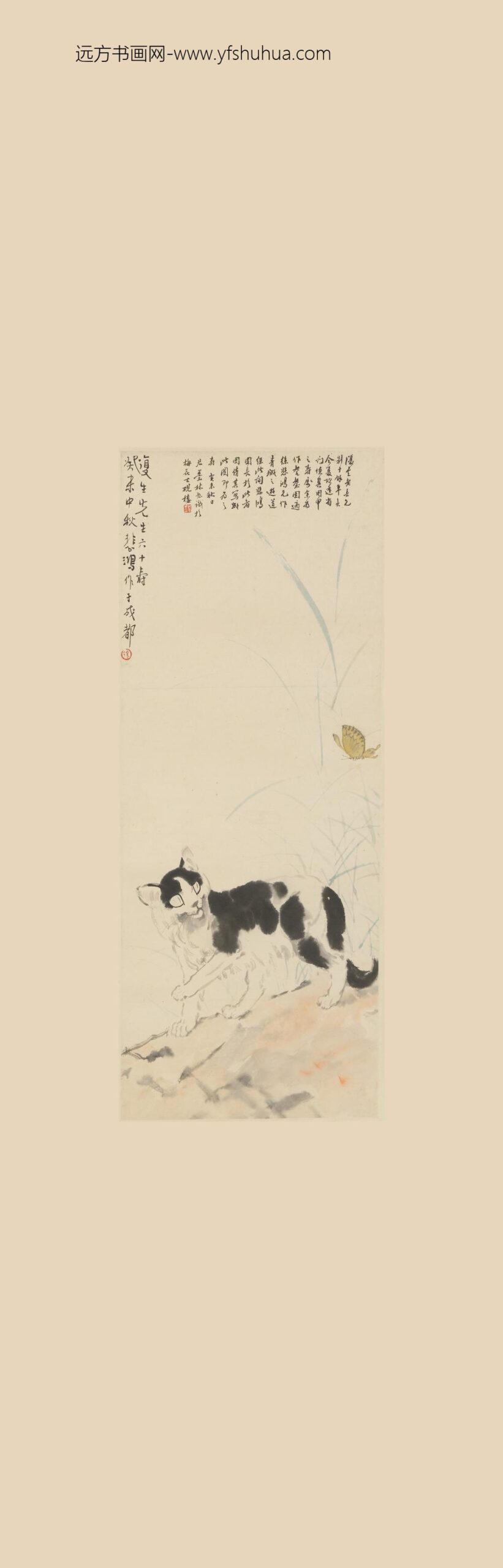 徐悲鸿_猫蝶图轴