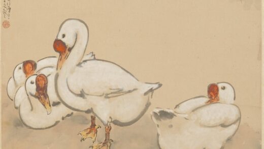 徐悲鸿 群鹅图轴.jpg