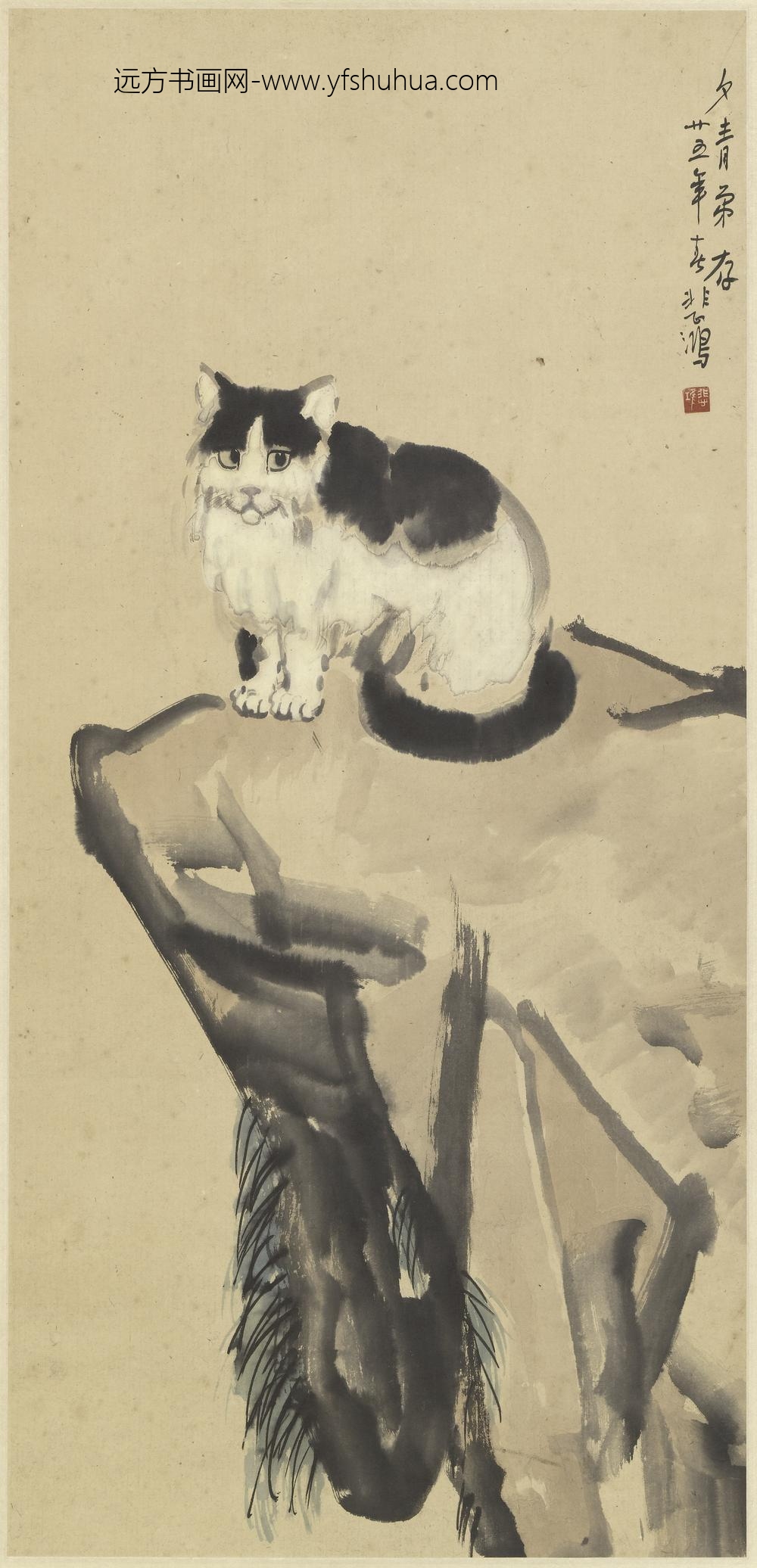 徐悲鸿_设色猫图轴