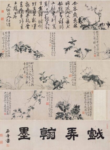 徐渭 墨花图卷.jpg