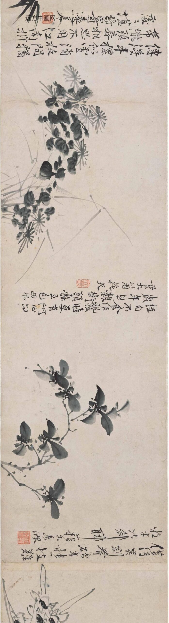 徐渭_墨花图卷_