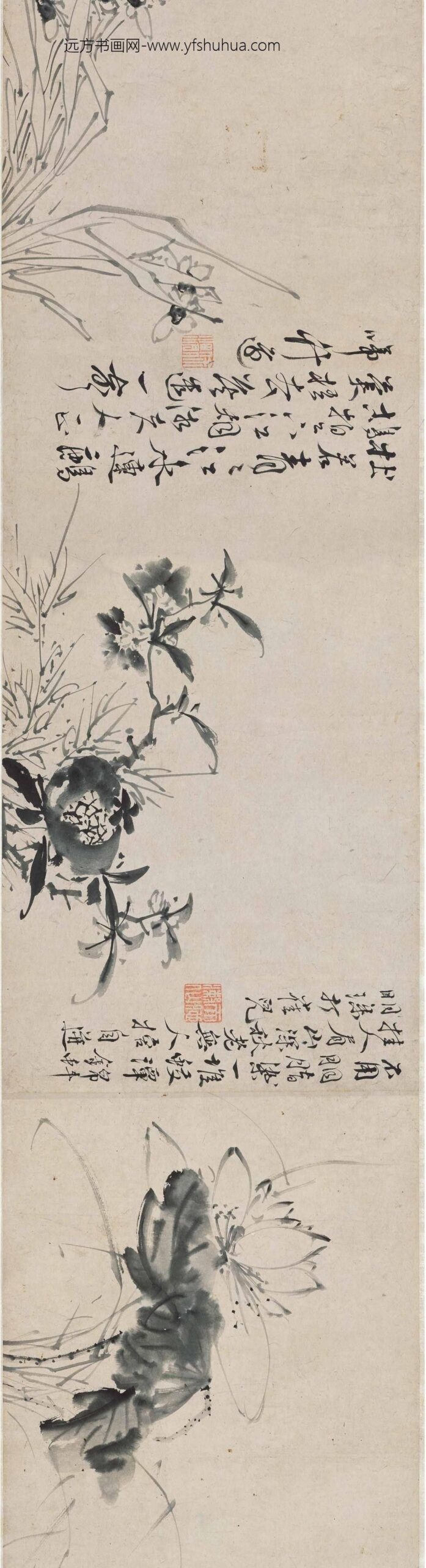 徐渭_墨花图卷_