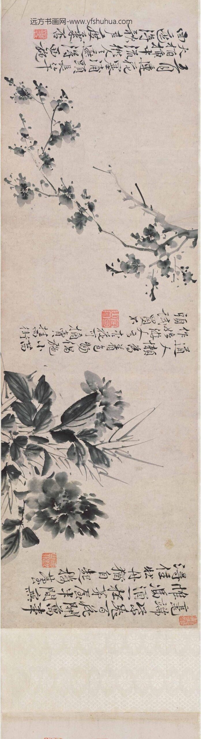 徐渭_墨花图卷_