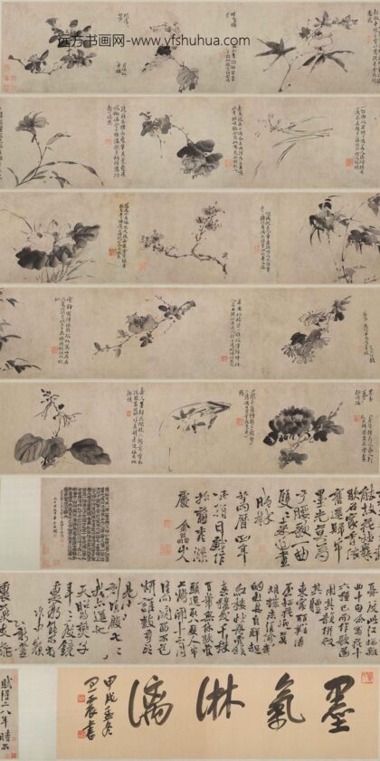 徐渭 杂花图卷.jpg