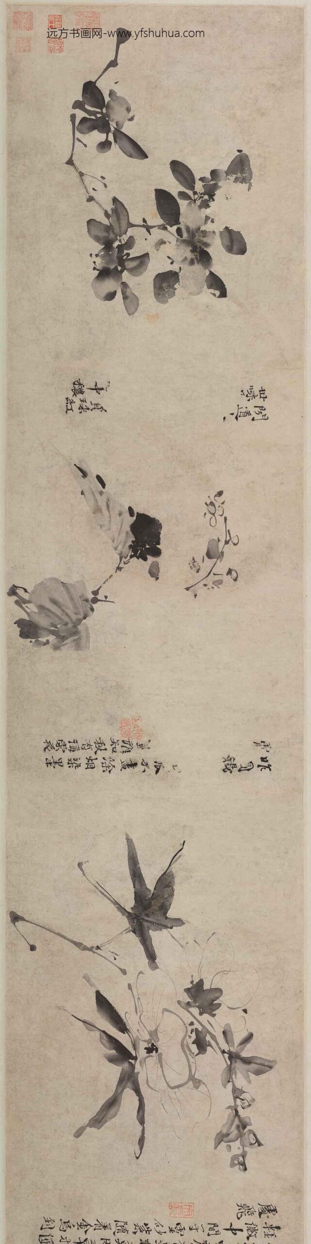 徐渭_杂花图卷_