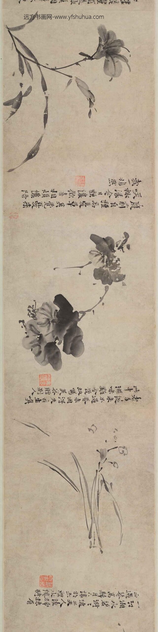 徐渭_杂花图卷_