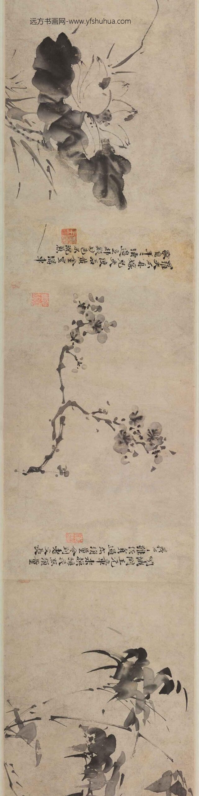 徐渭_杂花图卷_