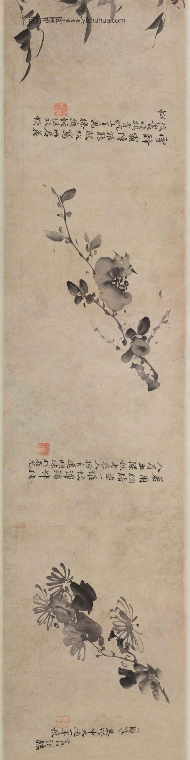 徐渭_杂花图卷_