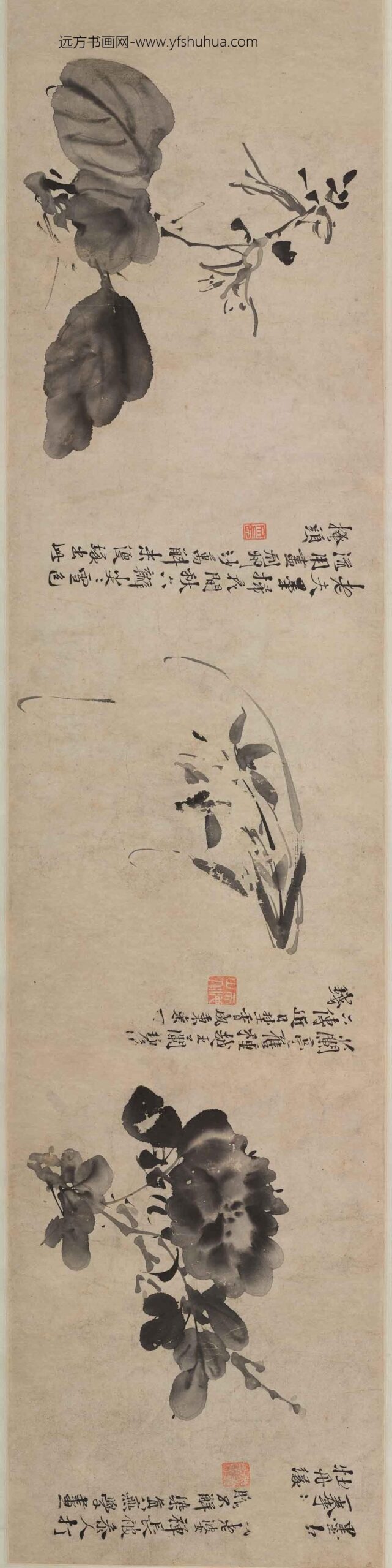 徐渭_杂花图卷_