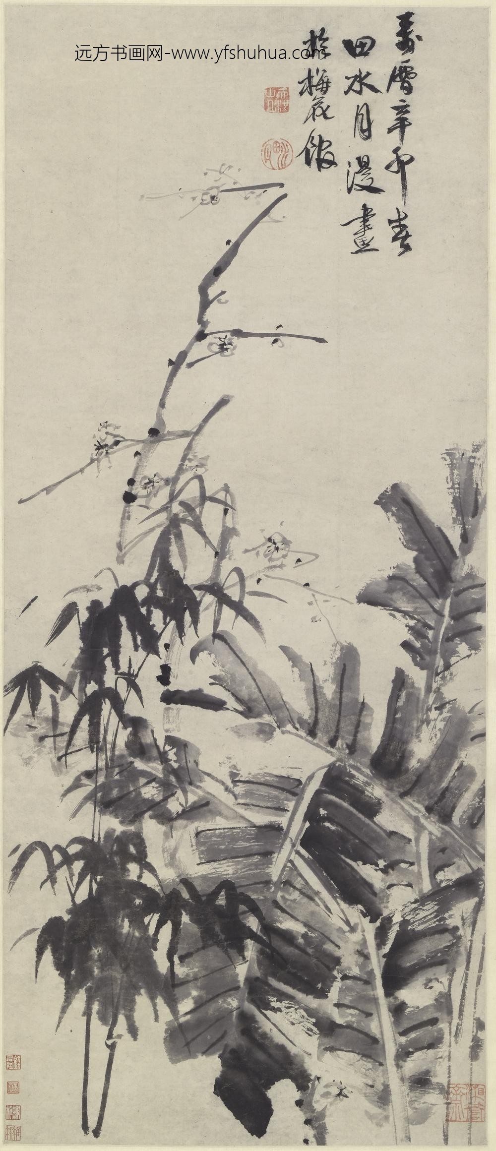 徐渭_梅花芭蕉图轴