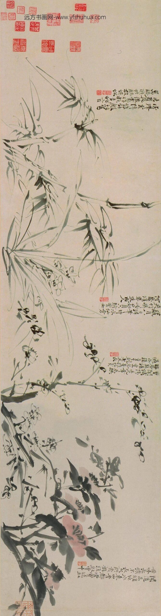 徐渭_花卉图卷_