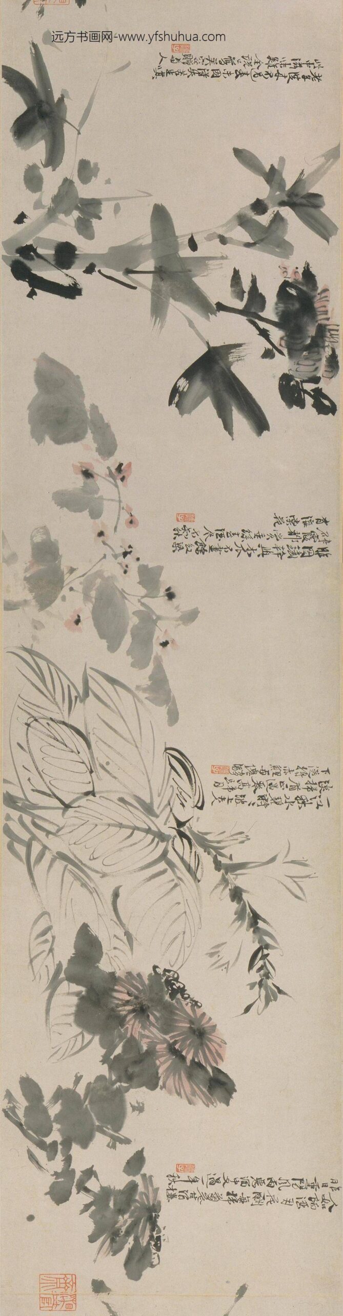 徐渭_花卉图卷_