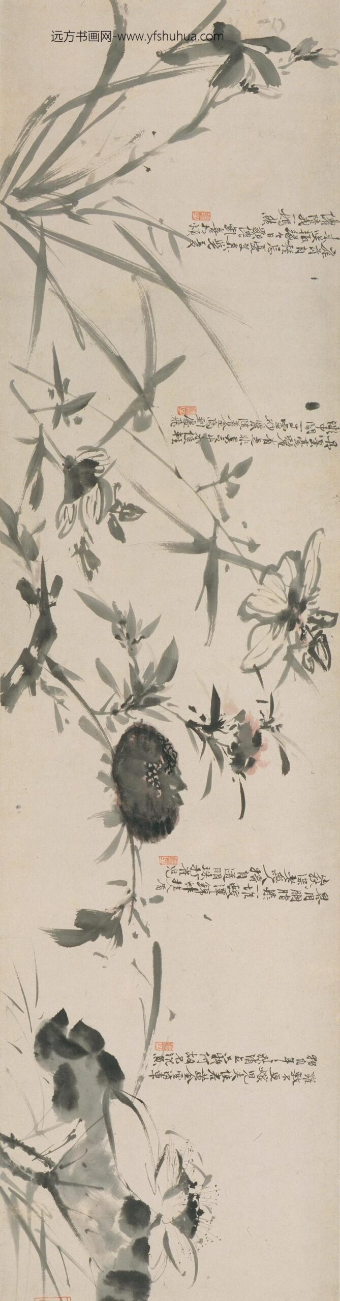 徐渭_花卉图卷_