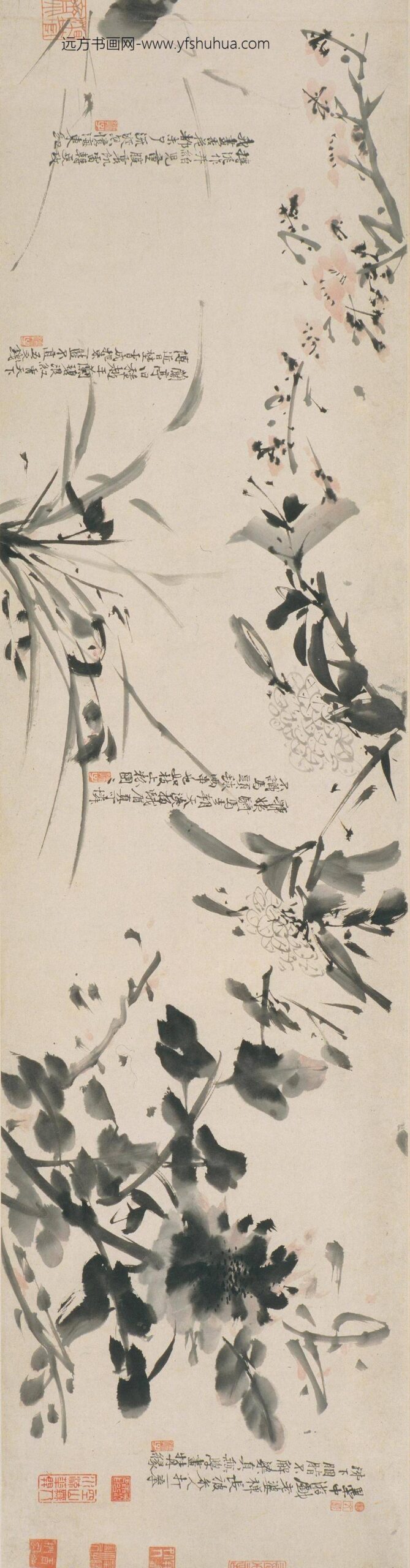 徐渭_花卉图卷_