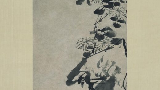 徐渭 菊石图轴.jpg