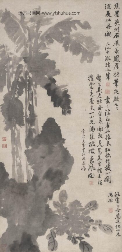 徐渭 蕉石牡丹图轴.jpg