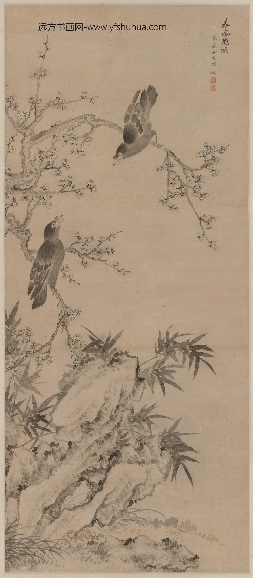 恽冰_春风鸲鹆图轴