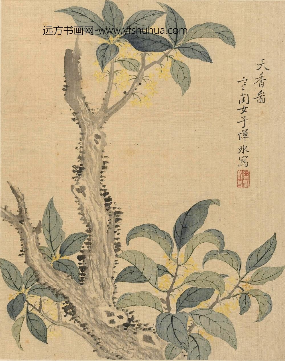 恽冰_花卉册（十开）_